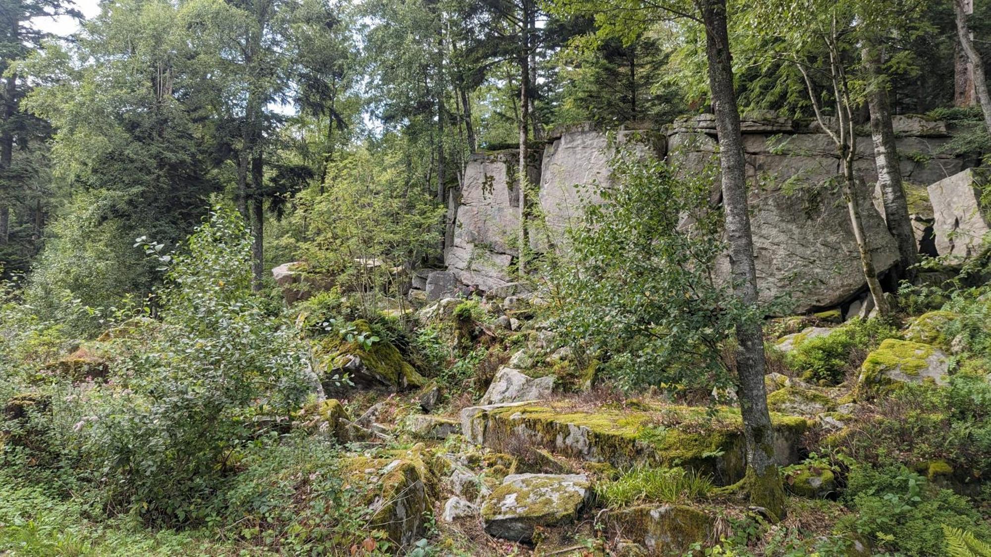 شقة Waldhorn دوببل المظهر الخارجي الصورة