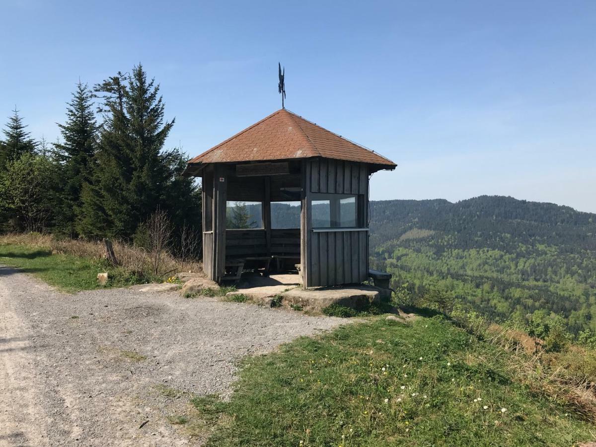 شقة Waldhorn دوببل المظهر الخارجي الصورة